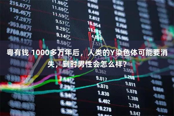 粤有钱 1000多万年后，人类的Y染色体可能要消失，到时男性会怎么样？