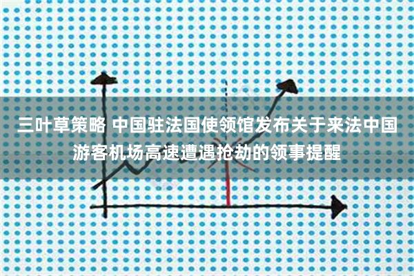 三叶草策略 中国驻法国使领馆发布关于来法中国游客机场高速遭遇抢劫的领事提醒