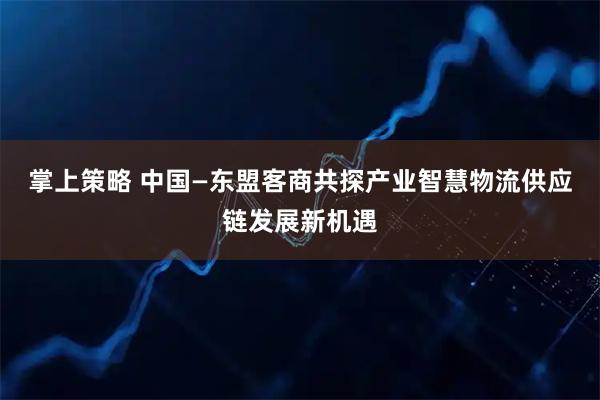 掌上策略 中国—东盟客商共探产业智慧物流供应链发展新机遇