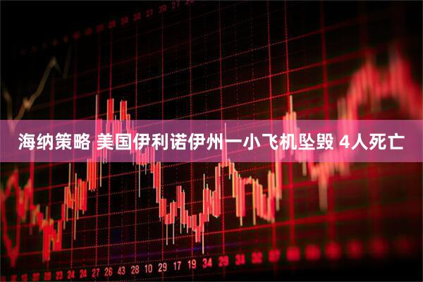 海纳策略 美国伊利诺伊州一小飞机坠毁 4人死亡