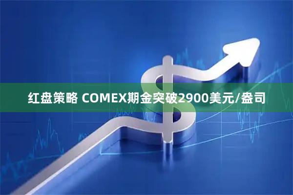 红盘策略 COMEX期金突破2900美元/盎司