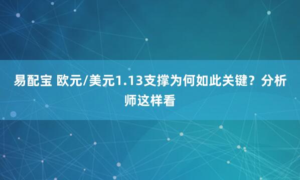 易配宝 欧元/美元1.13支撑为何如此关键？分析师这样看