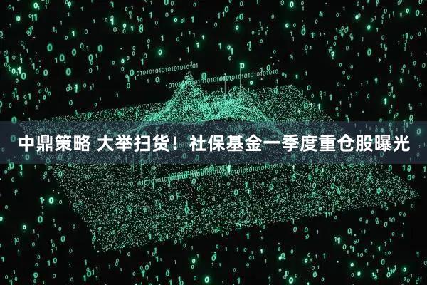 中鼎策略 大举扫货！社保基金一季度重仓股曝光
