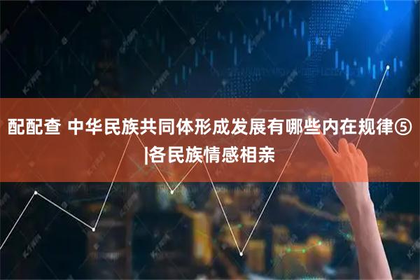 配配查 中华民族共同体形成发展有哪些内在规律⑤|各民族情感相亲