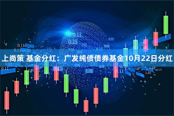 上尚策 基金分红：广发纯债债券基金10月22日分红