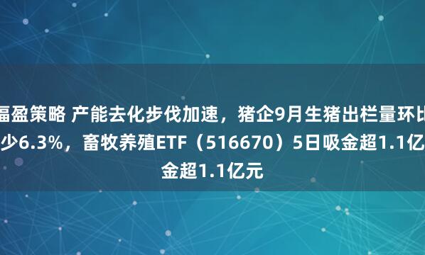 福盈策略 产能去化步伐加速，猪企9月生猪出栏量环比减少6.3%，畜牧养殖ETF（516670）5日吸金超1.1亿元