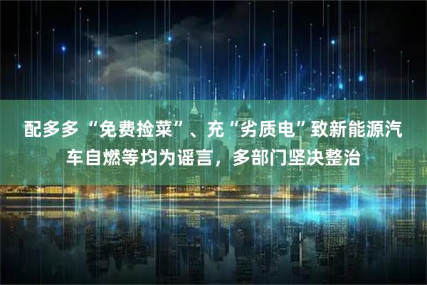 配多多 “免费捡菜”、充“劣质电”致新能源汽车自燃等均为谣言，多部门坚决整治