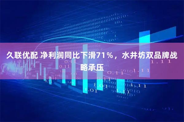 久联优配 净利润同比下滑71％，水井坊双品牌战略承压