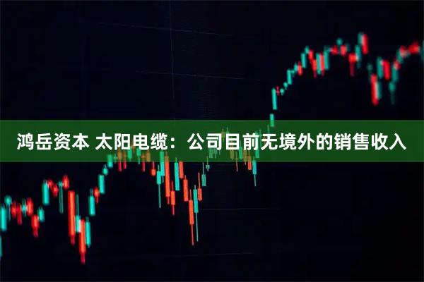 鸿岳资本 太阳电缆：公司目前无境外的销售收入