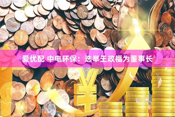 爱优配 中电环保：选举王政福为董事长