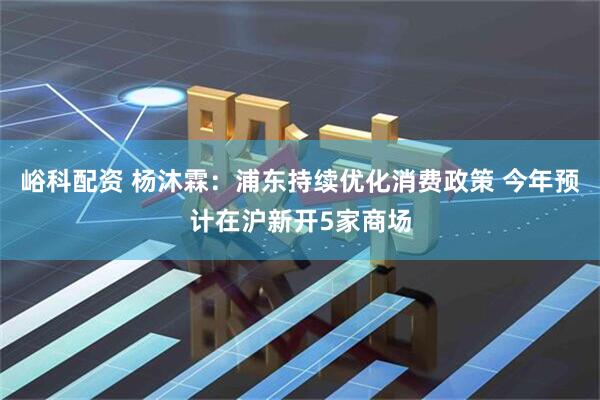 峪科配资 杨沐霖：浦东持续优化消费政策 今年预计在沪新开5家商场