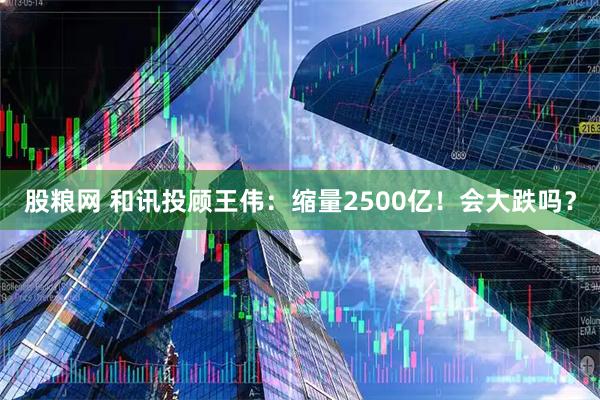 股粮网 和讯投顾王伟：缩量2500亿！会大跌吗？